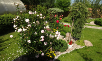 DSC00517.JPG