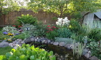DSC00644 1.jpg