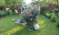 DSC00643.jpg